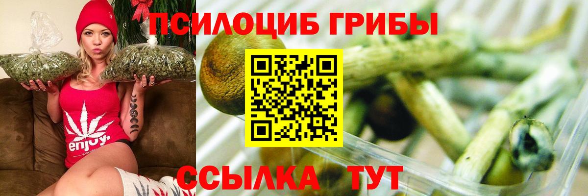 Беслан  Псилоцибиновые грибы мицелий  Вход с VPN  Галлюциногенные грибы мухоморы 